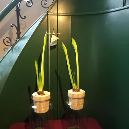 Logis Restaurant Du Moulin Hotel 3*